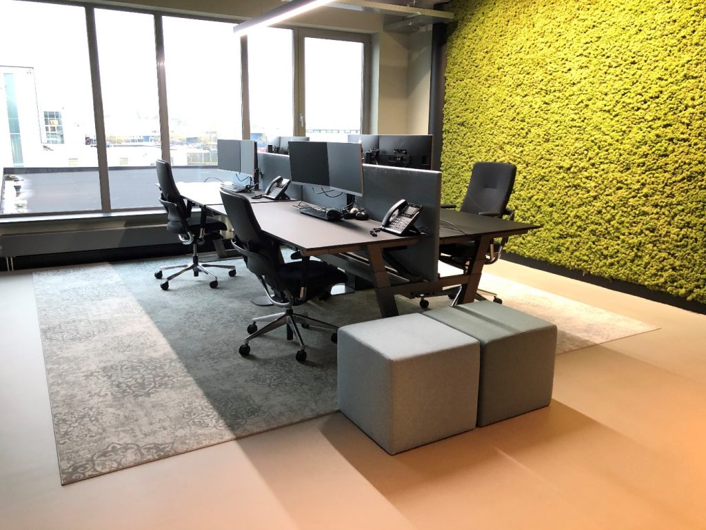 Biophilic design in a modern office space